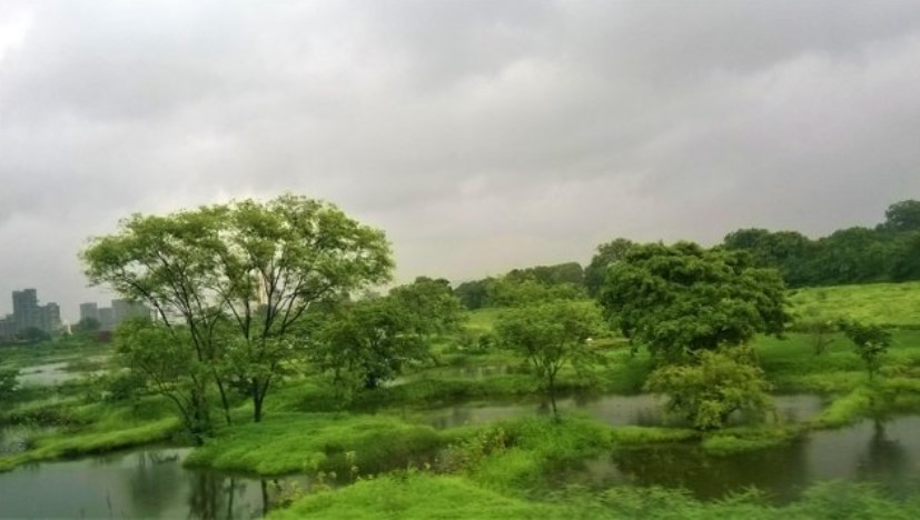 Monsoon-soaked green wetlands with scattered trees and reflective water pools, seen through a train window under cloudy skies — a serene moment in a travel story