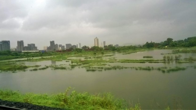 Flooded monsoon wetlands with patches of green vegetation and a distant city skyline, viewed through a train window — a striking contrast captured in a travel stor