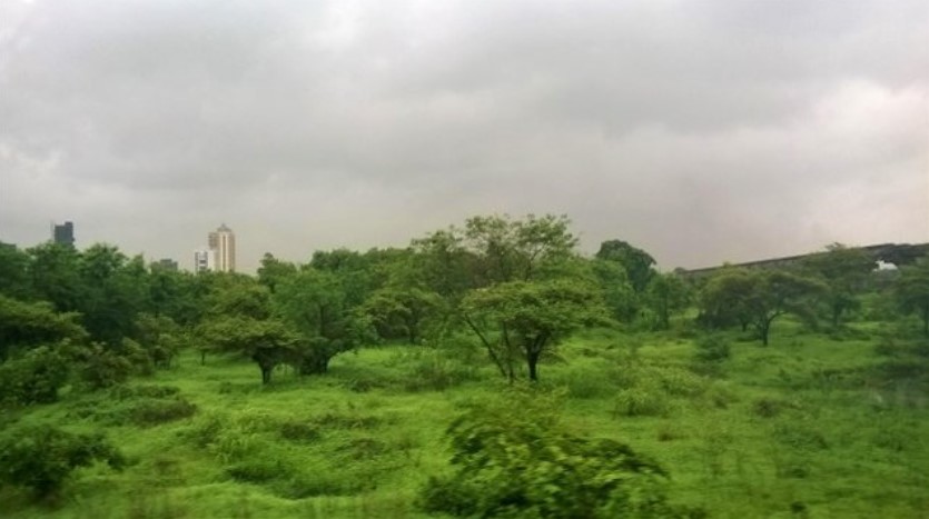 Vast stretches of monsoon-green fields with scattered trees and a distant hint of city buildings, seen through a train window — a peaceful pause in a travel story