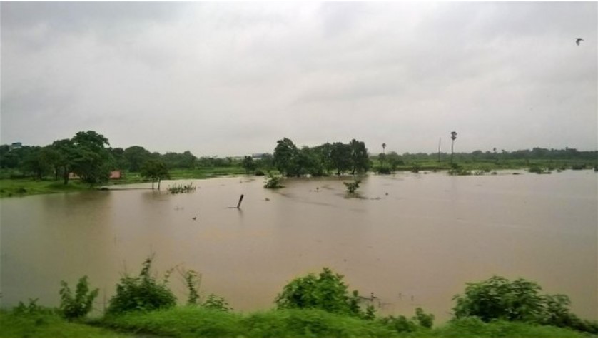 Wide monsoon-flooded fields with submerged trees and greenery extending into the distance, seen through a train window — a tranquil rural moment in a travel story.”