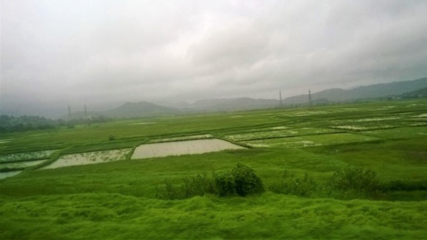 Vast green paddy fields with water-filled patches stretching toward distant hills under cloudy monsoon skies, seen through a train window — a serene countryside moment in a travel story