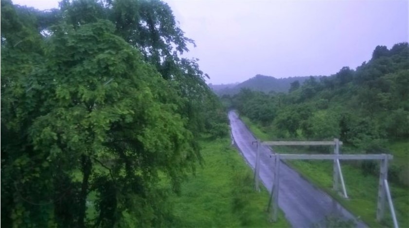 A misty green landscape seen through a train window, showing a narrow road winding through dense trees and hills during monsoon weather — perfect for a travel story