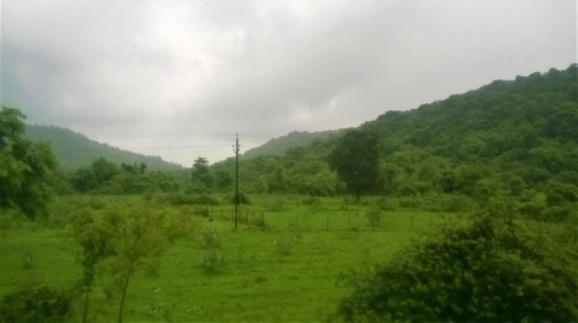 Monsoon-soaked green fields and rolling hills viewed through a train window, a calm and misty landscape that deepens the travel story