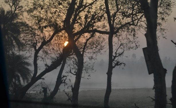 A misty sunrise in Nainital, with the sun peeking through leafless trees and fog gently covering the landscape.