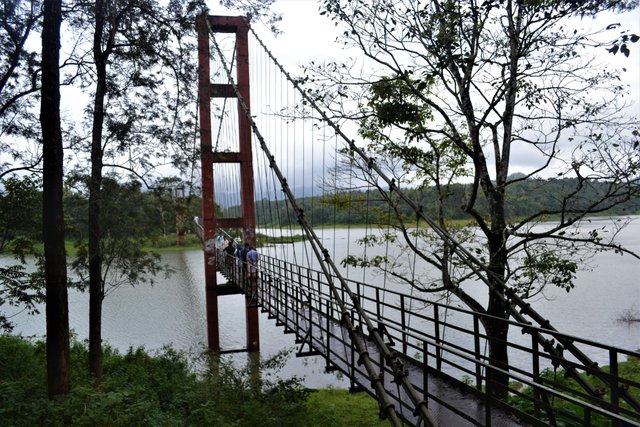 hanging bridge