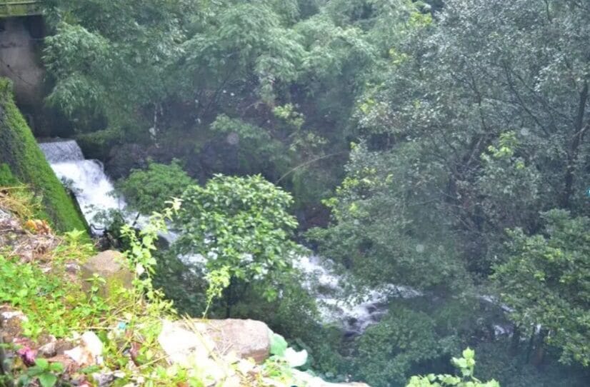 Small waterfall flowing through dense forest and rocky valley surrounded by lush greenery.