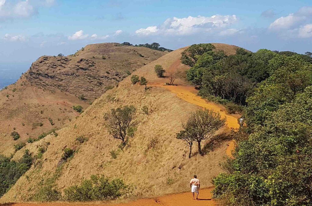 Ridge path on the Kudajadri trek with a lone walker and rolling hills ahead