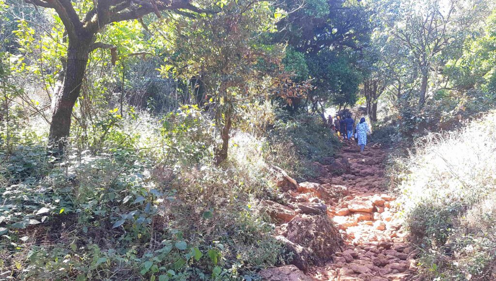 Trekkers climbing a rocky forest trail on the way to Kudajadri