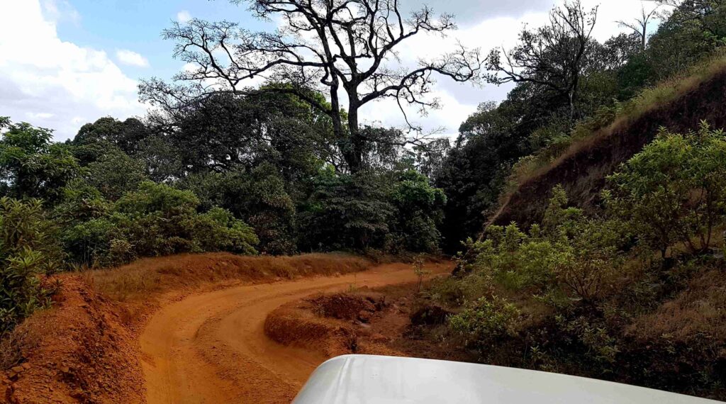 A winding red-mud trail through dense forest, showing the rough terrain on the uphill jeep route towards Kudajadri.