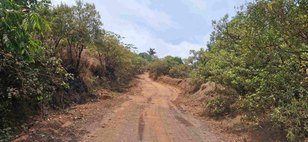 A narrow uphill mud trail surrounded by dense green bushes and trees on the Kudajadri jeep route.