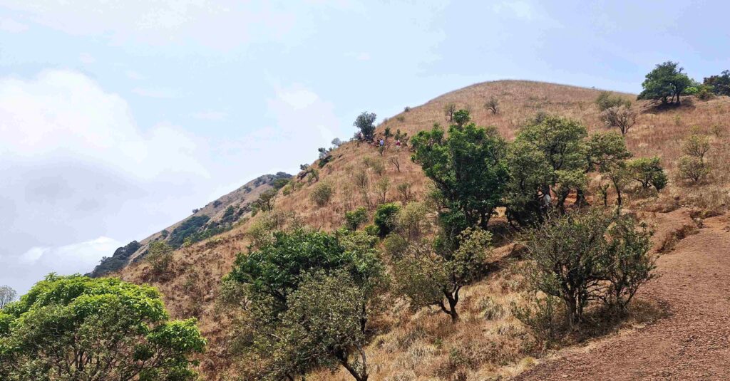 First view of the steep trail after the U-turn on the Kudajadri walk