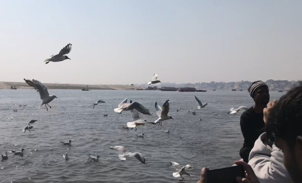 Seagulls flying and hovering above the Ganga River during a boat ride in Varanasi, with people at the edge of the boat watching and taking photos.