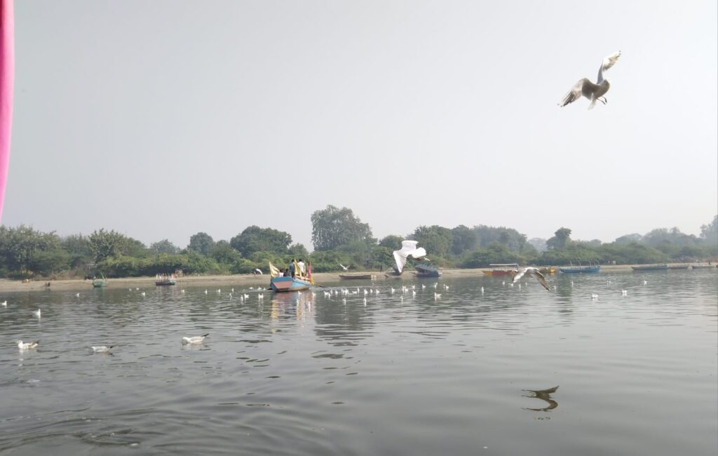 yamuna river with birds flying over