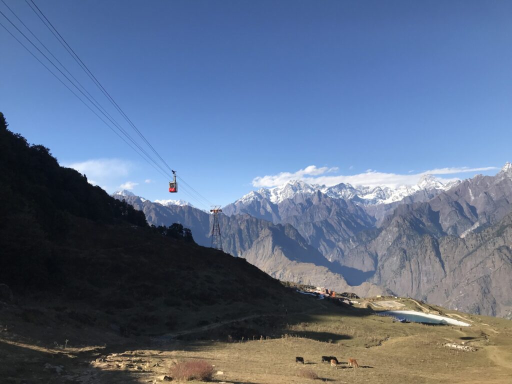 A cable car moving across the sky towards auli with grazing cattle below and snow-covered Himalayan peaks stretching across the horizon.